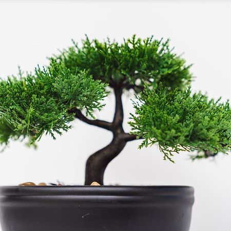Apartment Misto 斯普利特 外观 照片